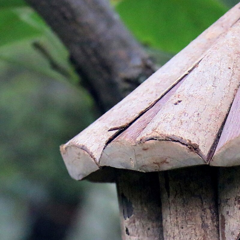 Extérieur maison d'oiseau en bois abri Habitat pour petit oiseau mésanges moineaux