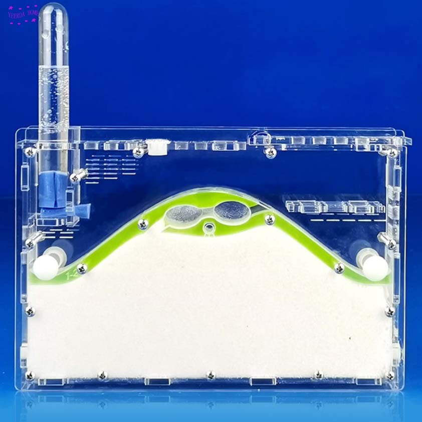 19.6*13.3*2.9cm DIY moisture with feeding area ant nest ,ant farm acryl, insect ant nests villa pet mania for house ants
