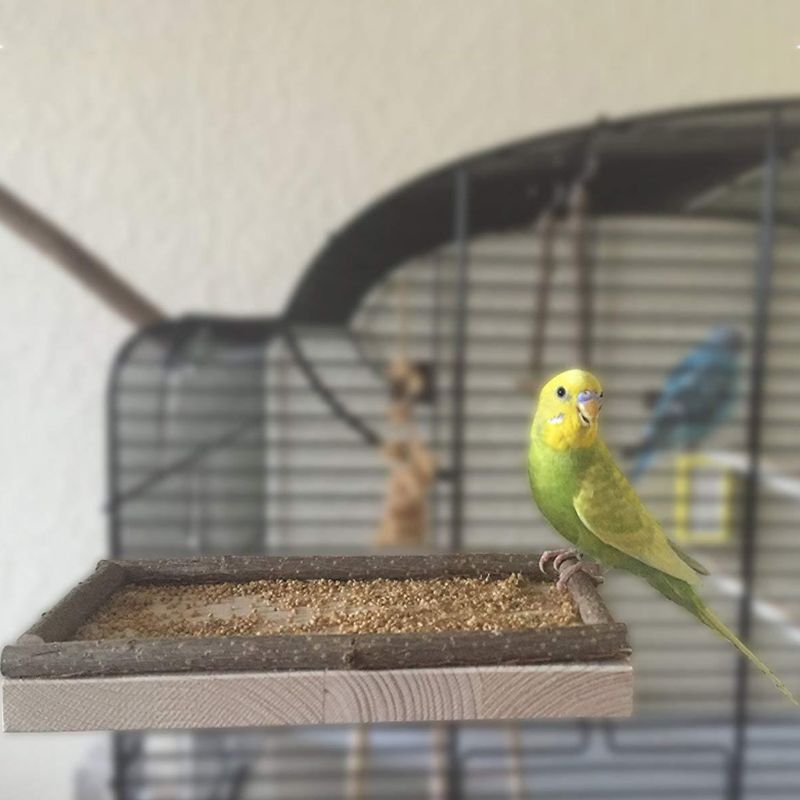 Hamster speelgoed wip rat schommel tuig papegaai houten ladder springplank