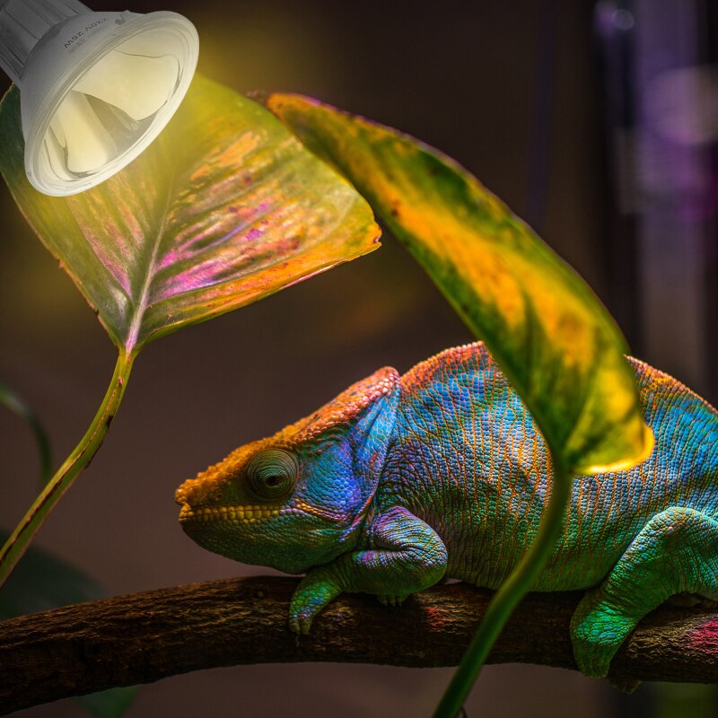 BENE – lampe solaire à spectre complet UVA + UVB, ampoule halogène Spot pour couveuse, tortue, lézard, amphibie Dragon barbu, Terrarium