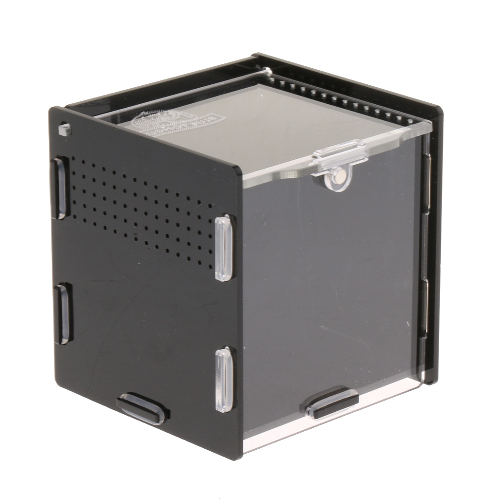 Kæledyr krybdyr skildpadde tank insekt edderkopper avl boks skildpadde terrarier krybdyr forsyninger: Sort