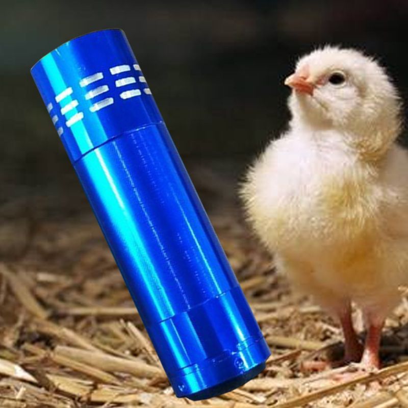 Mini Cold Light Egg Incubator Intelligent Precise Temperature Control Automatic Hatcher Long Standby Safe Portable Tools