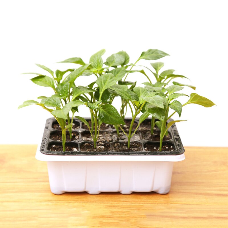 6/12-hole Seedling Box Tray Seed Plant Starter Tray Garden Supply Home Gardening FPing