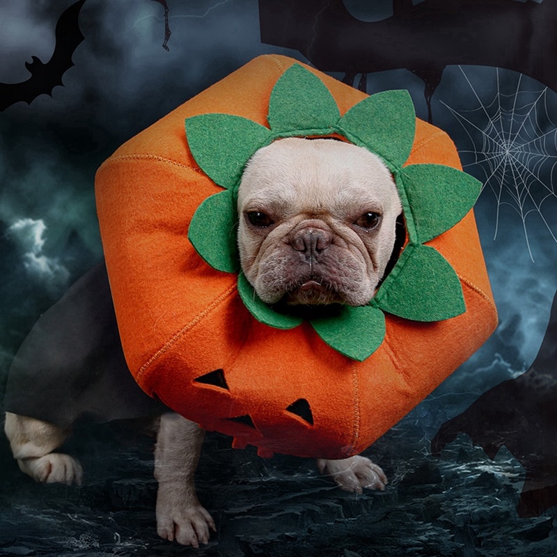 2020collares para mascotas, calabaza de Halloween para gatos, perros pequeños, bonitos accesorios para mascotas, Cute Neckband para gato, cachorro, vestido
