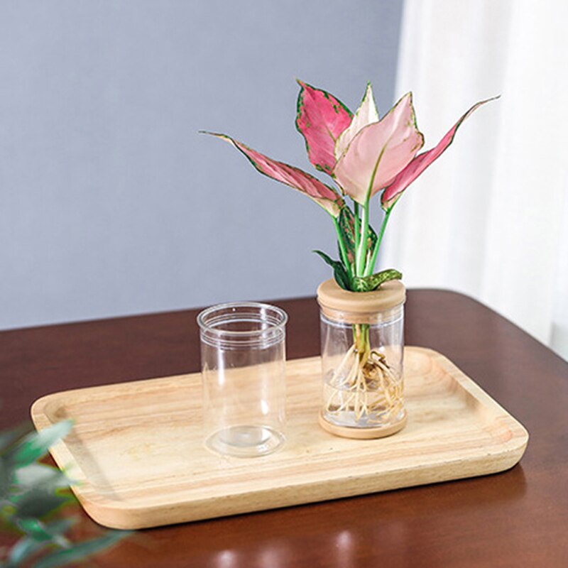 Kasviruukut laiska läpinäkyvä kukkaruukku läpinäkyvä ruukku automaattinen vettä imevä kukkaruukun jäljitelmälasi