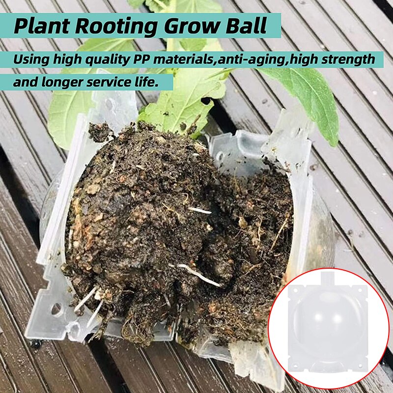 5/8CM Plant Rooting Ball Grafting Root Box 10/20Pcs Root Visible High Pressure Ball Breeding Growing Device For Garden Orchard