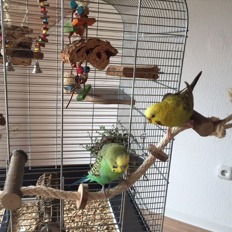 Houten vogelschommel - hangend huisdier vogelkooi accessoires