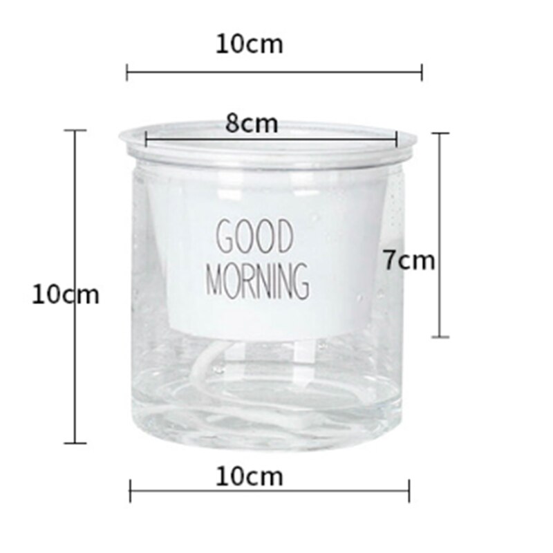 Self Watering Plastic Planter Transparent Water Storage Flower Pot Herb Leaf Plant Succulent Holder Container Home Garden Decor: 1