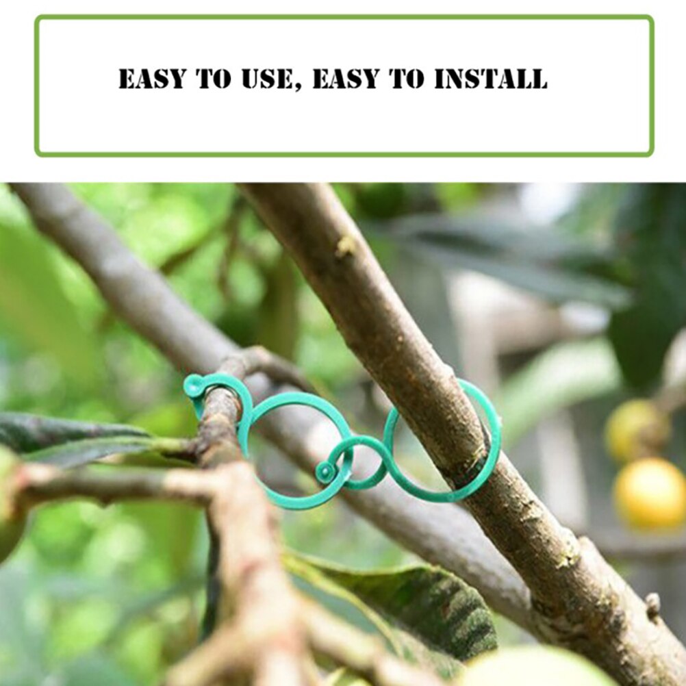 Planting Lock Gardening Plant Support Clamp Garden Clamp Vegetab... – Grandado
