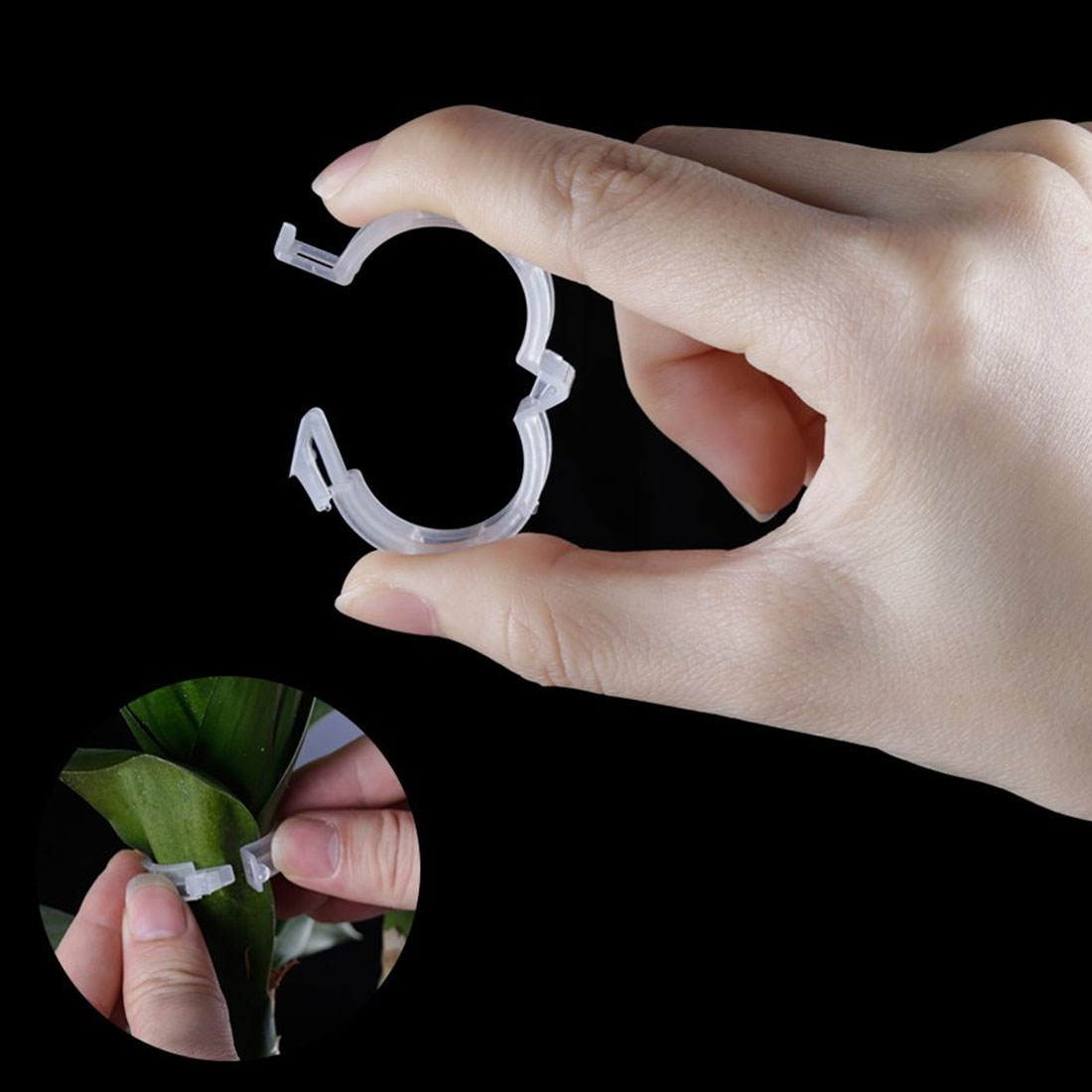 100 stk/parti tomathage planteklips til espalier hyssing drivhus tomat veggie hageplanteklips