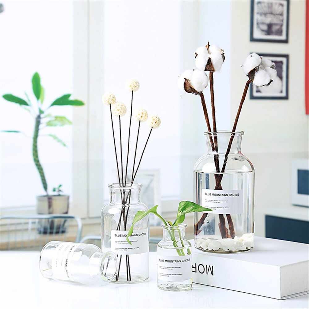Transparent Glass Storage Jars Chic Dry Flower Vase Scandinavian Fresh Floral Container Desktop Decor Organizer Jar