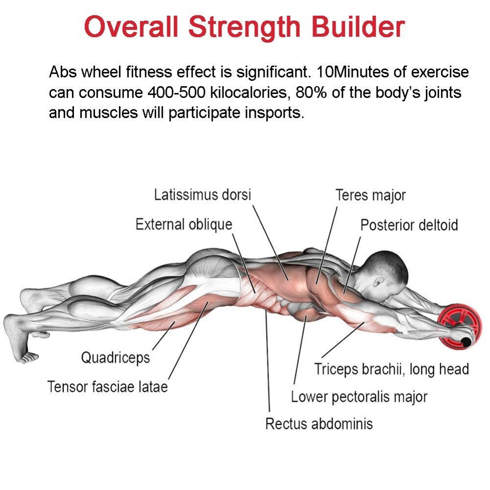 AB Roller No Noise Abdominal Muscle Trainer with Mat for Abdominal Core Workout Home Gym Body Building Fitness Equipment Wheel