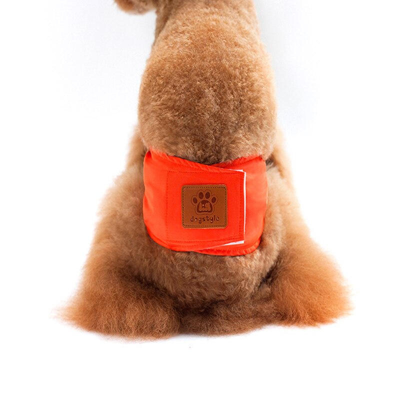 Welpen Haustier Männlichen Hund Physiologischen Hosen Sanitär Unterwäsche Bauch Band Baumwolle Windel Atmungs Windel Wrap Für Hunde: orange / S