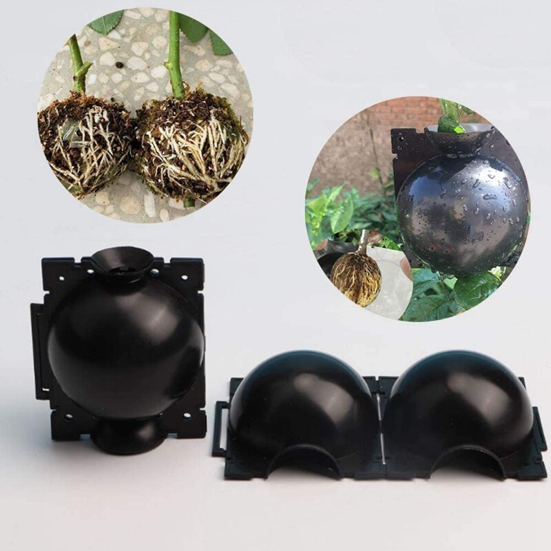 10Pcs Plant High-Pressure Propagation Box Garden Tree High-Altitude Compression Branch Propagation Bulb Rooting