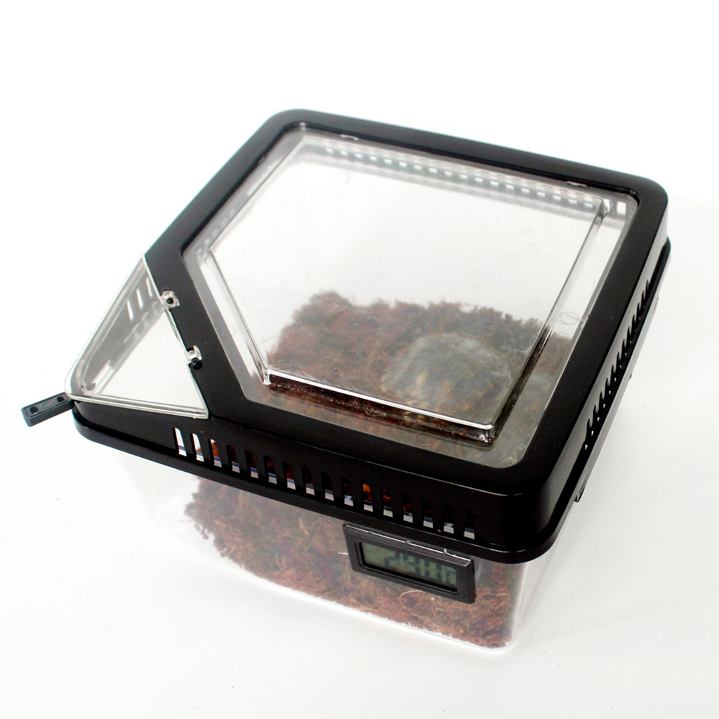 Reptile plastique robuste, Lizard, coccinelle, Scorpion, insecte, Vivarium, Terrarium, boîte d'élevage, conteneur: Black