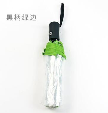 8 rippe transparent regenschirme voll automatische klapp dach für weibliche frauen klar sonnenschirm kompakte outdoor regen paraguas YS004: A green