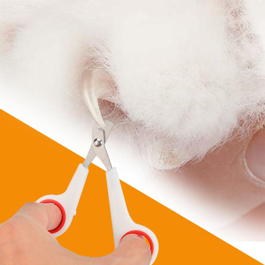 Professionele Huisdier Kat Hond Nagelknipper Cutter Neus Schaar Rvs Hond Kat Claw Grooming Clipper Voor Pet Hond Kat levert