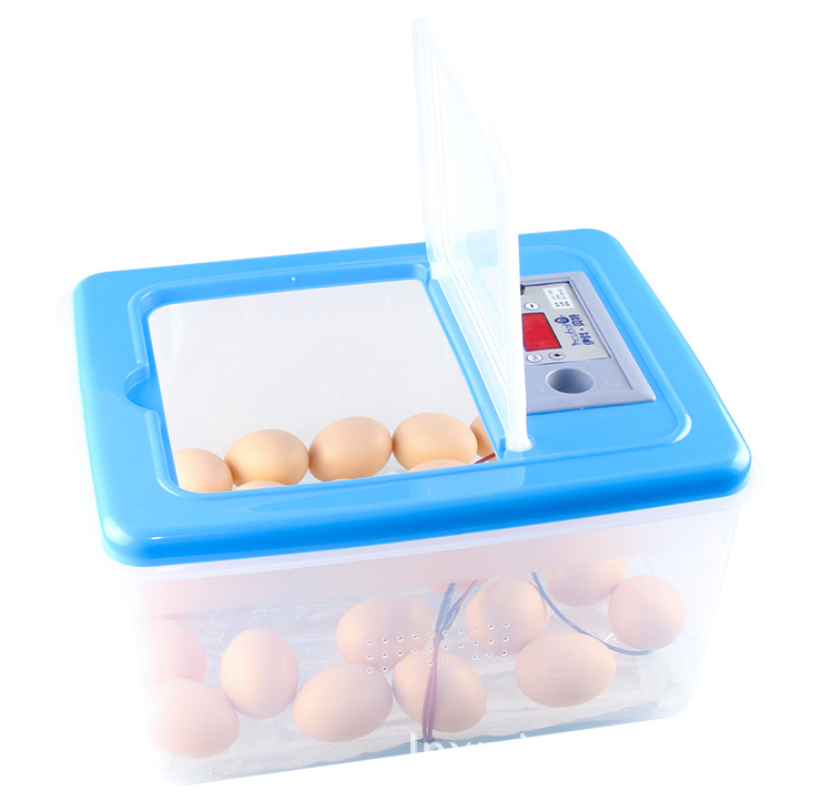 32 eieren Elektronische Digitale Incubator Hatcher Automatische Incubatie Kip Eend En Gans Incubator 12 V/220 V