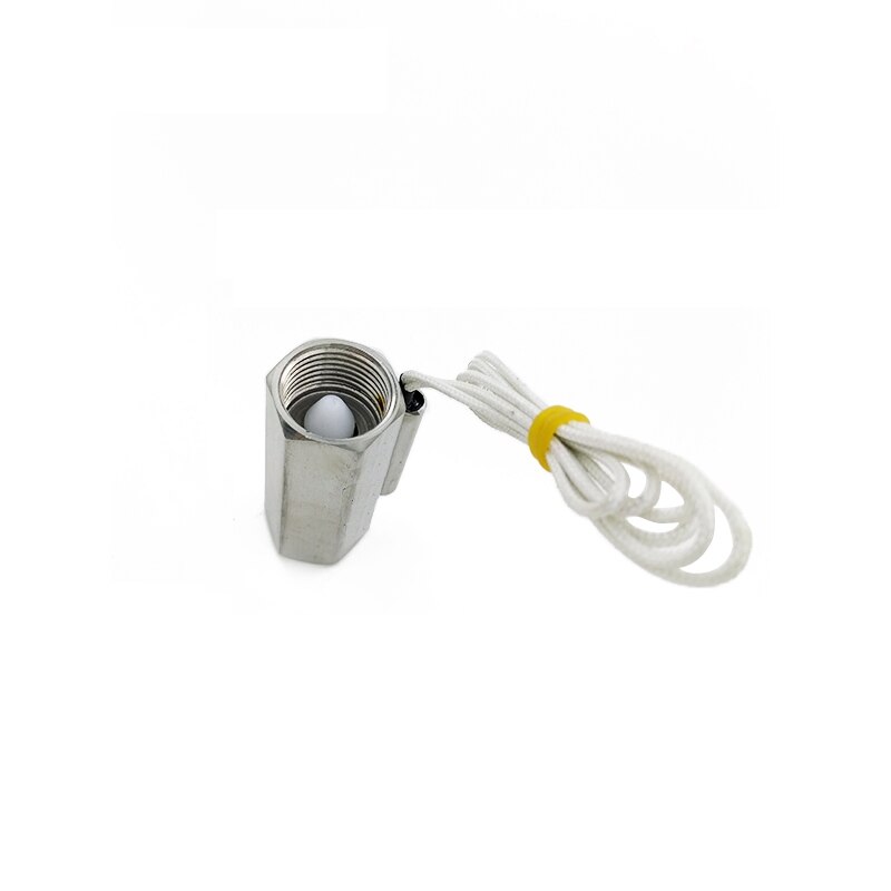 Stainless Steel EFS-05S Mini Mechanical Control Liquid Piston Type Water Flow Switch 220V