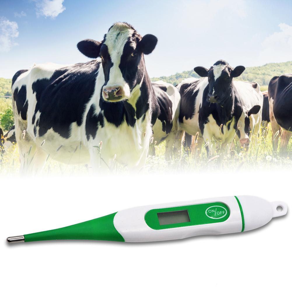 Elektronisk termometer led gris hund ko får husdjur special termometer med mjuk huvud vattentät termometer abs mjuk huvud termometer