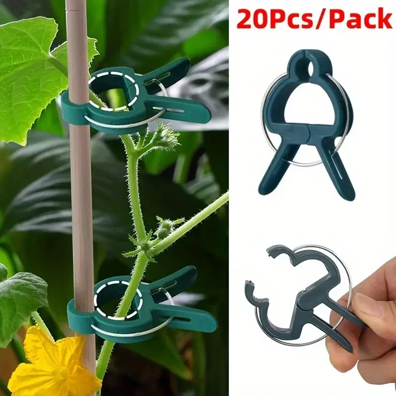 20 pièces Clips de cerclage de vigne de jardin plante groupée boucle porte-anneau tomate jardin plante Support outil jardinage Supports outils