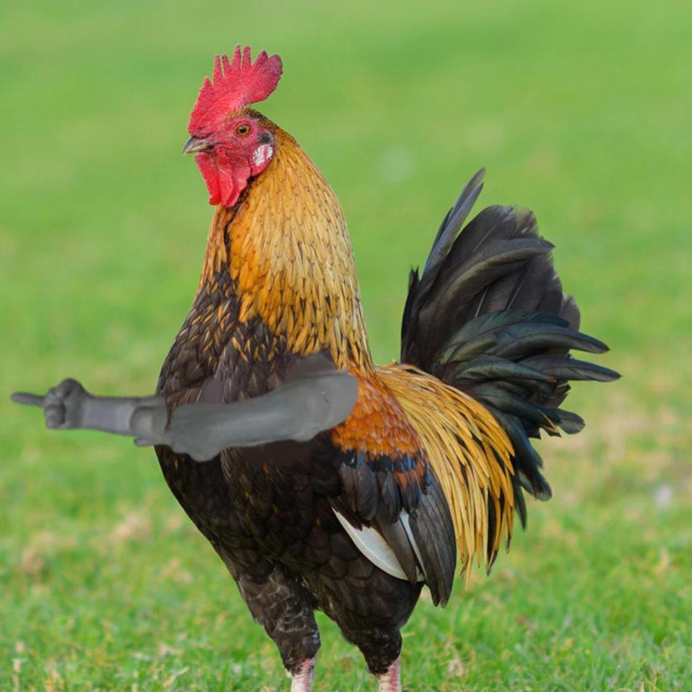 Grappige Kip Spier Arm Kip Vuist Tricky Prank Hand Pet Model Rekwisieten Levert Speelgoed Vinger Cosplay Midden Kostuum Huisdier i1i4