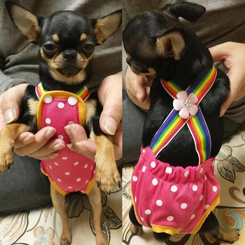 Punkt Denim Hund Weibliche kurze Hose Hosen für Kleine Mittelgroße Hunde Chihuahua Pinscher Physiologische Höschen mascotas Unterwäsche Zubehör