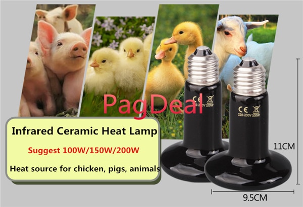 Lampe thermique en céramique infrarouge Reptile émetteur chauffage ampoule animal de compagnie poulailler lézard tortue serpent amphibien volaille couveuse pousser la lumière