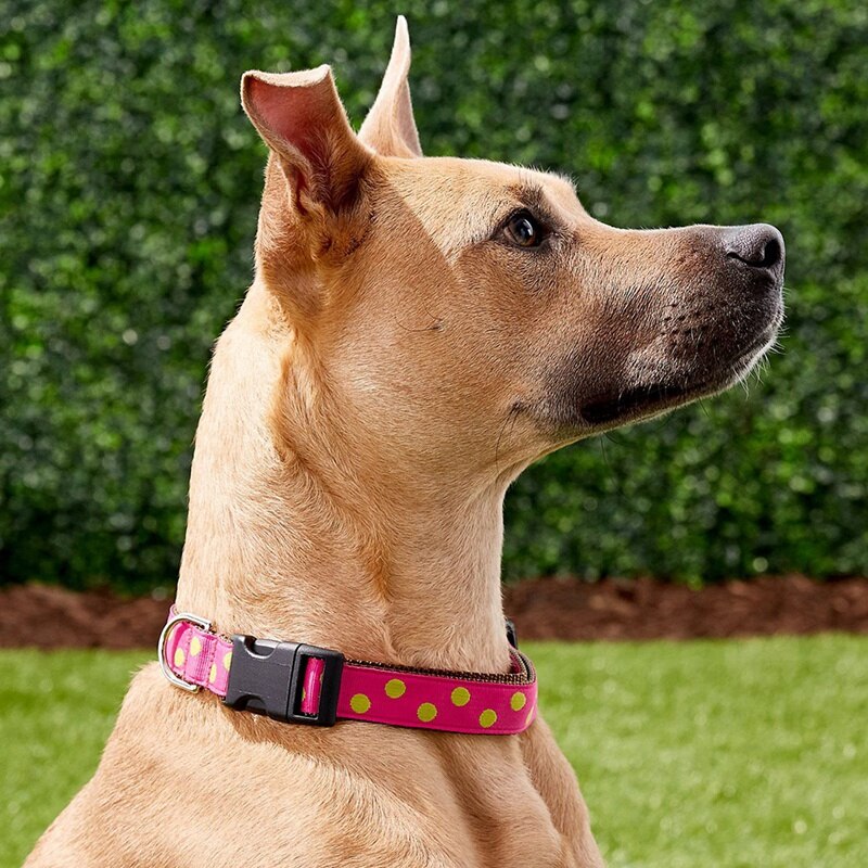 Buckles Straps Set,Release Plastic Buckle Dual Adjustable, 21 Yard Polyester Webbing Strap Band For Luggage Backpack DIY