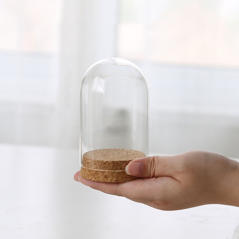 Large Glass Dome Cloche Display With Black Wooden Base – 41.5 Cm X 21 Cm, Modern EMH Showcase