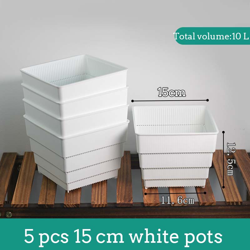 Pot en maille 6cm 7 cm 10 cm 12 cm 15 cm Pots succulents Lithops Jardinière de cactus Pot de fleur en plastique Bon Drainage avec trous d'air: Lavande