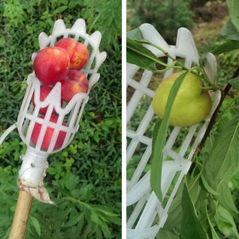 Fruit Picking Tool Greenhouse Plastic Fruit Picker Catcher Farm Garden Picking Device Garden Greenhouses Tool Without Handle