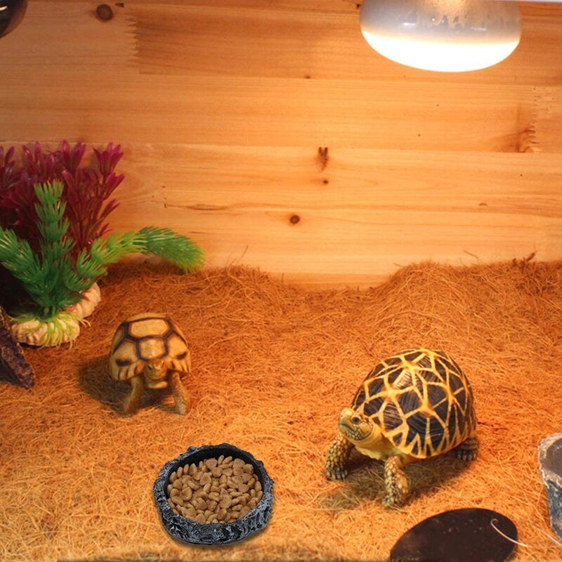 2 pakke krybdyr vand fad mad skål sten orm feeder til leopard gekko firben edderkop skorpion kameleon