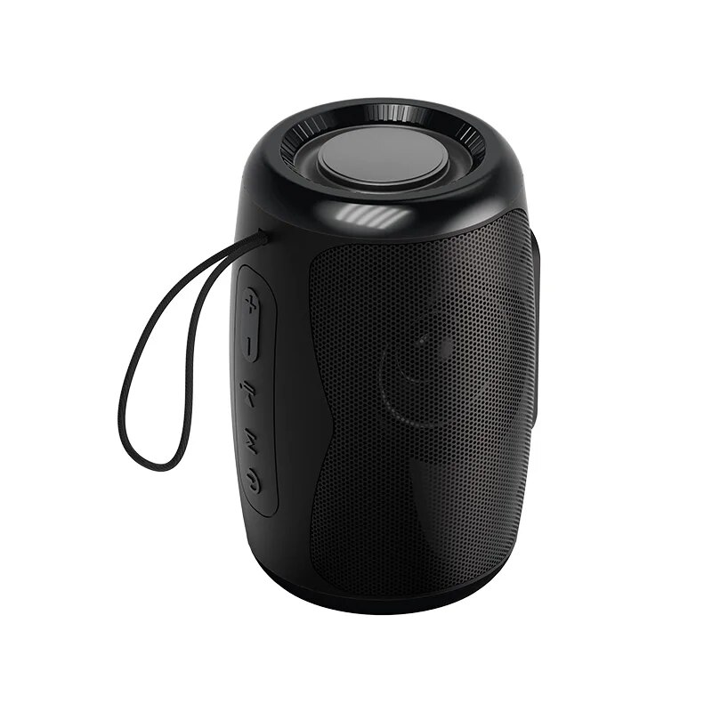 TSN-1 draagbare luidspreker Draadloze Bluetooth-luidsprekers met 5.3 stereo FM/SD/USB-schijf/Aux-modi Waterdicht voor Hifi-geluid buitenshuis: Black