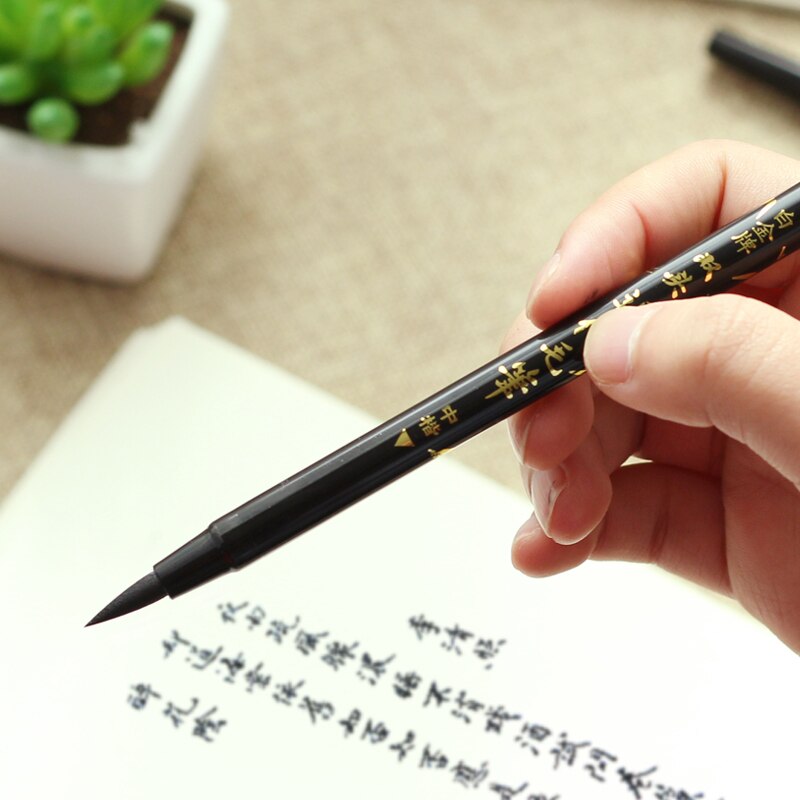 Platinum CFW-300 Twin Tip Brush Pen Scientific Calligraphy Pen Japan