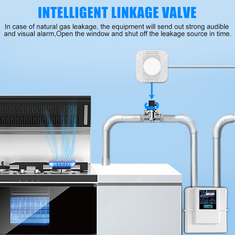 Tuya Wifi/Zigbee Koolmonoxide Sensor Gaslek Detector Huishoudelijk Gassensor Met Gprs Home Alarm Aardgas Lek Sensor