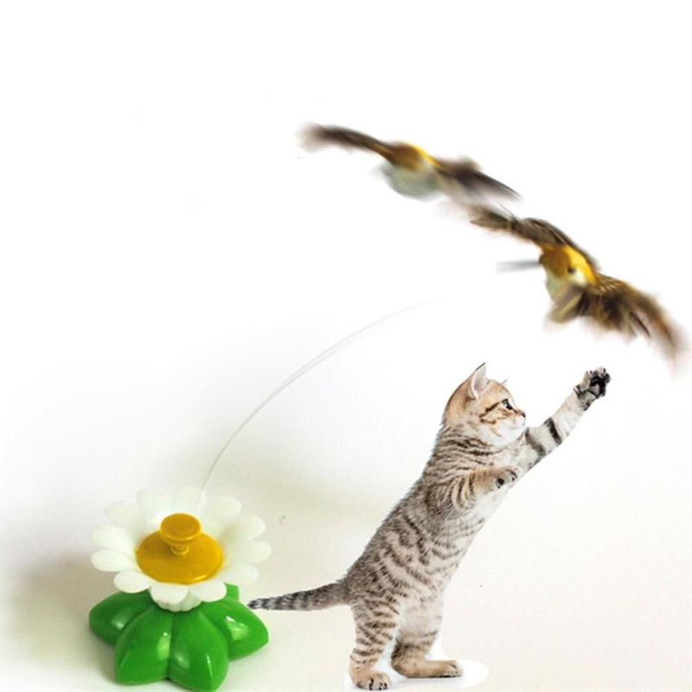 Giocattolo interattivo per gatti rotazione automatica farfalla volante colibrì giochi per gatti accessori per prendere in giro piccoli animali forniture per animali domestici: Hummingbird