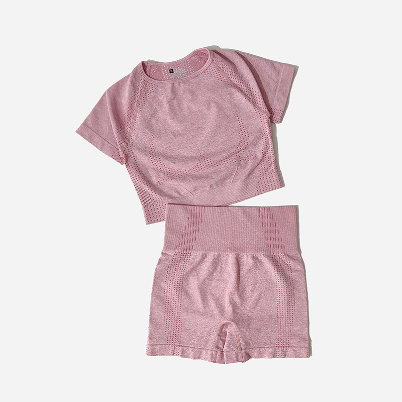 Conjunto de Yoga sin costuras para mujer, Top corto, camisa de manga corta, pantalones cortos de Fitness, ropa de entrenamiento para mujer, ropa de gimnasio, conjunto deportivo de Yoga
