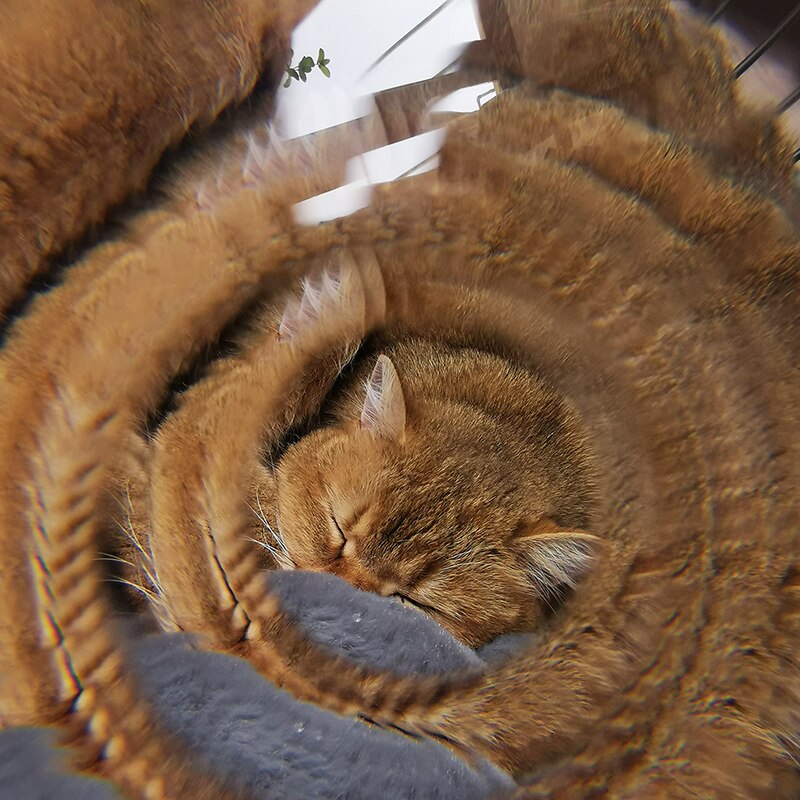 Filtr kamery wir kalejdoskop efekty specjalne fotografia z telefonu komórkowego fotografia na pierwszym planie rozmycie rekwizyty, akcesoria robić lustrzanek pryzmatycznych