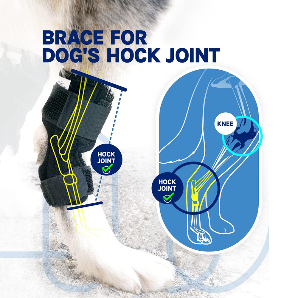 Dog strapping post-surgery sprain dog hind leg aid strapping brace protector knee brace: S / black