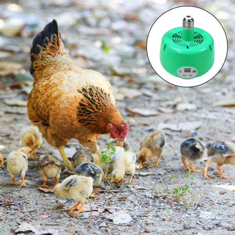 1pc Heat Lamp Chick 300W Green Heater Fan Heat Light Emitter for Countryside Chicken Farm