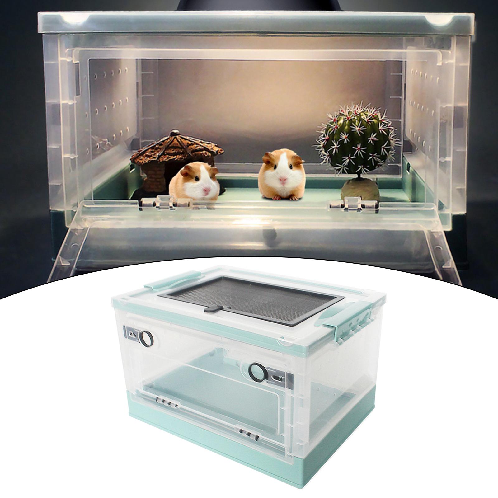 Boîte d&#39;alimentation pliable pour reptiles, pour Hamster, animaux de compagnie, Terrarium, réservoir de Transport pour souris, serpent, lézard, petits animaux, Rat