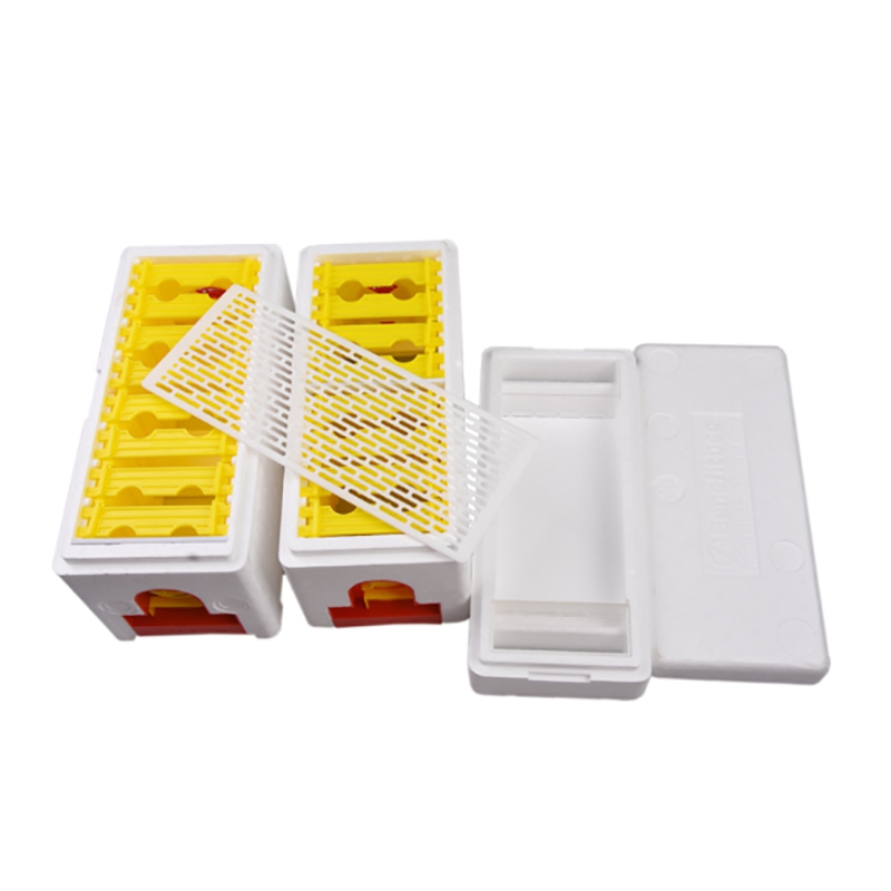 Bee Hive Beekeeping King Box Multi-Functional Queen Bee Hive Plastic Foam Material Double Box Queen Rearing Beehive Beekeepi