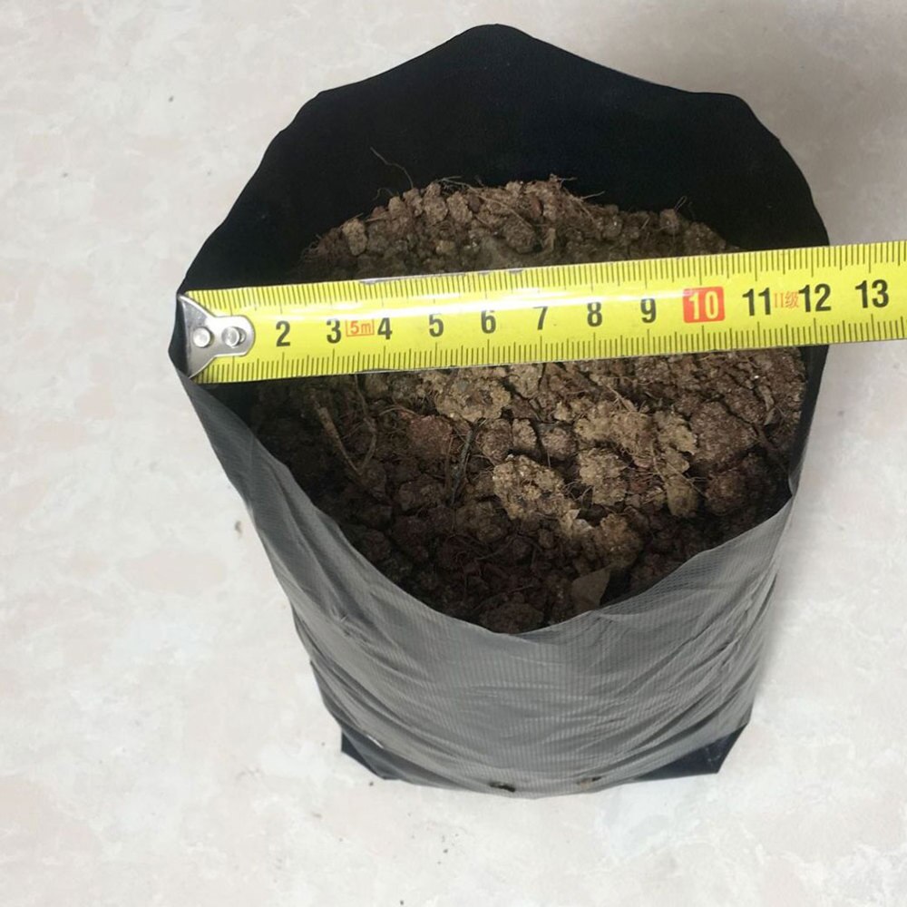 Bolsas para vivero finas de plástico PE, 100 Uds., bolsas para cultivo de plantas, macetas de tela con agujeros transpirables para cultivo doméstico, suministros de jardinería