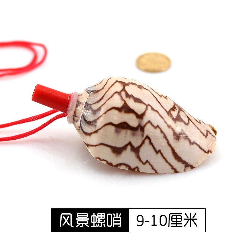 Sunchamo – sifflet de conque naturel, petite coquille de corne caractéristique, jouet artisanal, ornement Micro-paysage, décoration artisanale: 9-10 cm