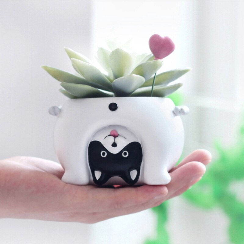 Cartoon hars dier plant bloempot tuinplanten vaas huisdecoratie bureau ornament hond/beer/varken vetplant plantenbak tuinieren