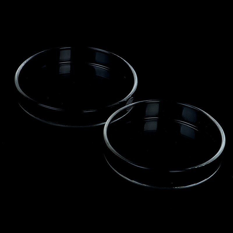 Plato de cristal transparente de gambas para comer, bandeja alimentadora de comida, contenedor redondo para acuario