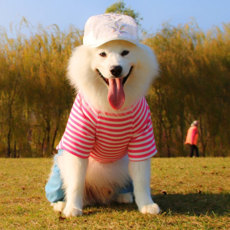Large Dog Clothes Winter Big Dog Clothing Jumpsuit Coat Samoyed Husky Labrador Golden Retriever Costume Pants Pet Outfit: Pink / 18