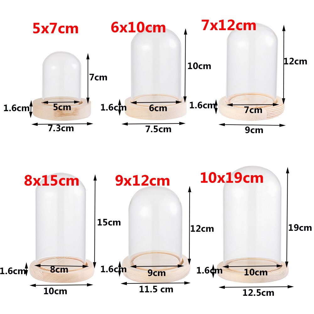 1Pcs Sferische Glas Cloche Jar Display Stand Cover Terrarium Fles Met Houten Base Acryl Stofkap Display Box Bloem doos