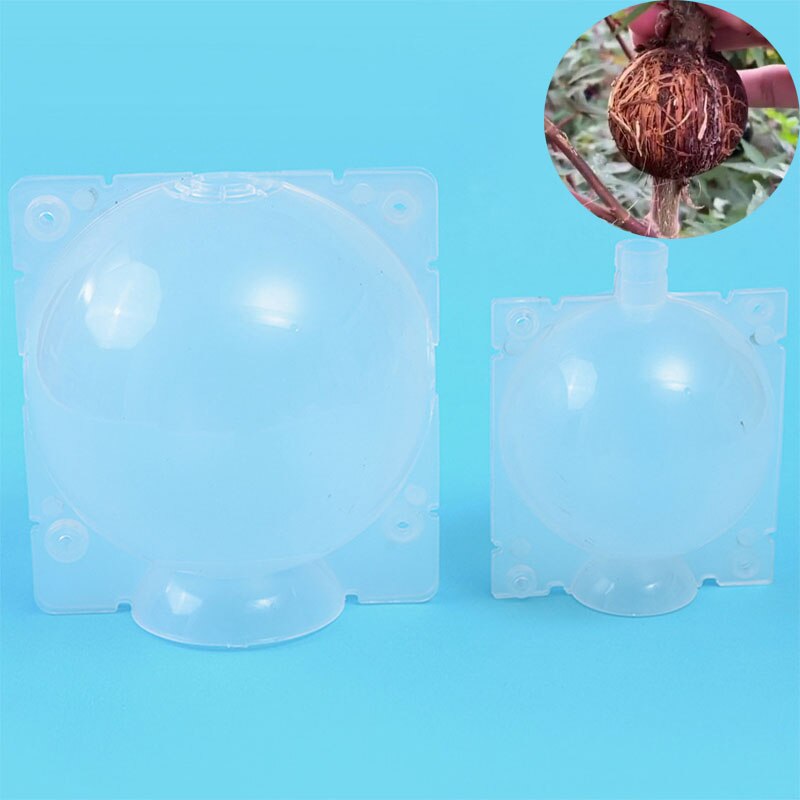 Garden Fruit Tree Plant Rooting Ball Root Growing Boxes Case Grafting Rooter Grow Box Breeding Garden Tools Supplies 5/8/12cm